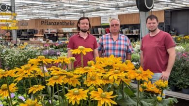 gärtner pötschke todesfall