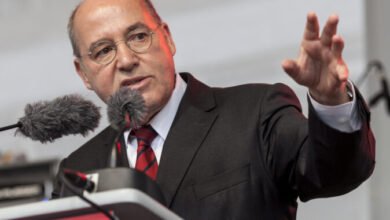 gregor gysi privatvermögen