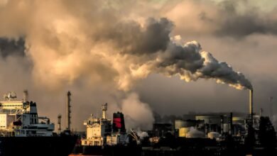 Saubere Umwelt und die Zukunft der Umweltverschmutzung