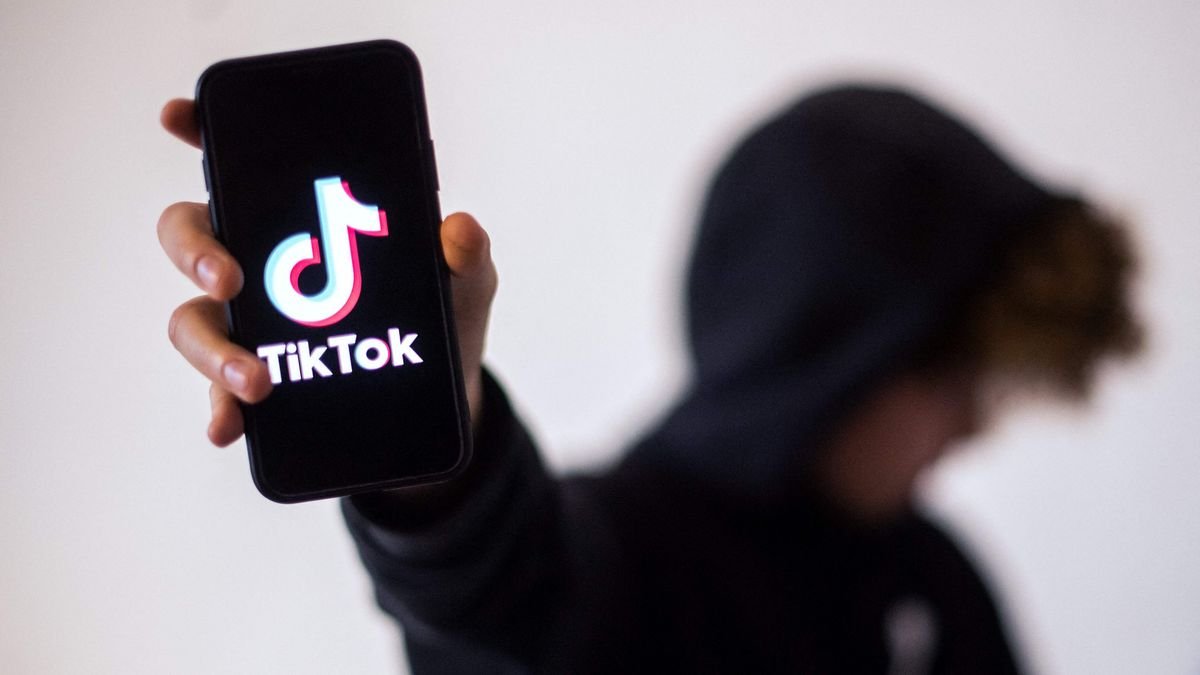 TikTok Videos ohne Wasserzeichen schnell herunterladen
