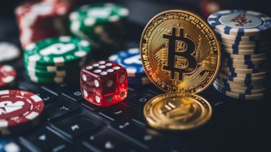 top Crypto Casinos im Check